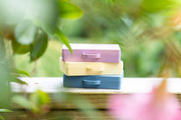 Add a Suitcase: Lilac Winter Sunrise