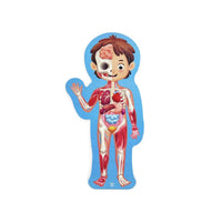Hape: Human Body Puzzle