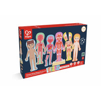 Hape: Human Body Magnetic Puzzle