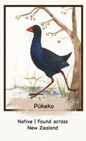 The NZ Bird Edition