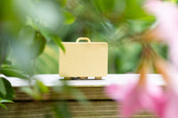 Add a Suitcase: Pink Spring Blooms