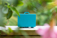 Add a Suitcase: Pink Spring Blooms