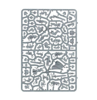 Warhammer 40k: Black Templars - Crusader Squad