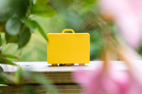 Add a Suitcase: Red Autumn Leaves