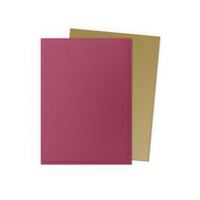 Dragon Shield 100 Matte Dual Standard Sleeves