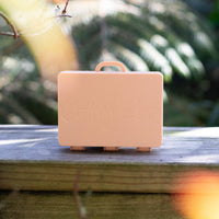 Add a Suitcase: Lilac Winter Sunrise