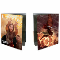 Dungeons & Dragons Class Character Folios