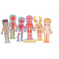 Hape: Human Body Magnetic Puzzle
