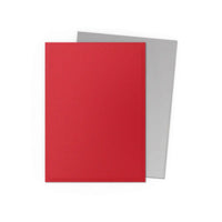 Dragon Shield 100 Matte Dual Standard Sleeves
