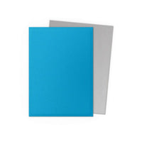 Dragon Shield 100 Matte Dual Standard Sleeves
