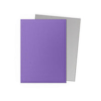 Dragon Shield 100 Matte Dual Standard Sleeves
