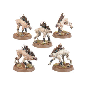 Warhammer 40k T'au Empire Army Set: Kroot Hounds