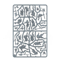 Warhammer Age of Sigmar: Pestigors
