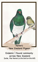 The NZ Bird Edition
