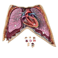 Doctor Livingston's Anatomy Jigsaw Puzzle: The Human Thorax
