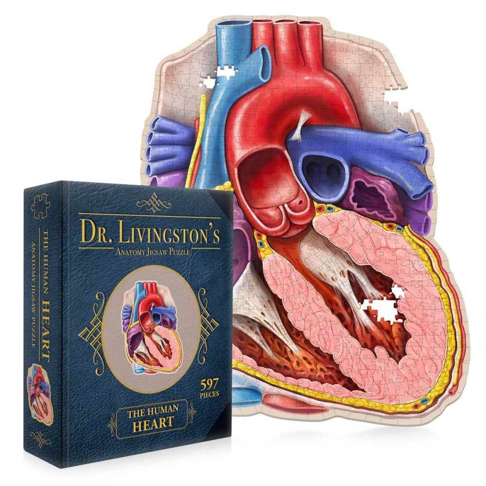 Doctor Livingston's Anatomy Jigsaw Puzzle: The Human Heart