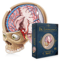 Doctor Livingston's Anatomy Jigsaw Puzzle: The Human Brain
