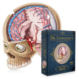 Doctor Livingston's Anatomy Jigsaw Puzzle: The Human Brain