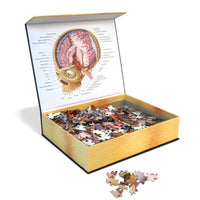 Doctor Livingston's Anatomy Jigsaw Puzzle: The Human Brain
