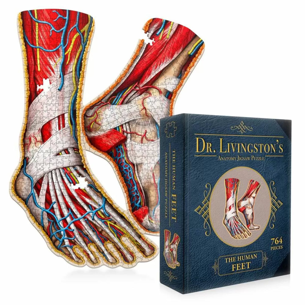 Dr. Livingston's Anatomy Jigsaw Puzzle: The Human Feet