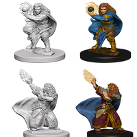 D&D Nolzur's Marvelous Miniatures - Dwarf Wizard Female