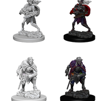 D&D Nolzur's Marvelous Miniatures - Drow