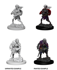 D&D Nolzur's Marvelous Miniatures - Drow