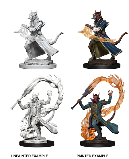 Nolzur's Marvelous Miniatures - Tiefling Sorcerer Male