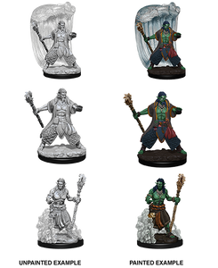 D&D Nolzur's Marvelous Miniatures - Water Genasi Druid Male