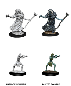 Nolzur's Marvelous Miniatures - Sea Hag & Bheur Hag