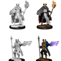 Nolzur's Marvelous Miniatures - Multiclass Cleric + Wizard