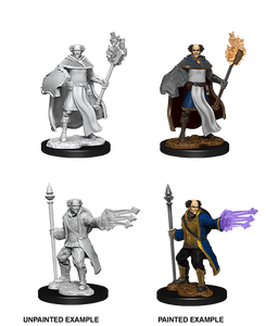 Nolzur's Marvelous Miniatures - Multiclass Cleric + Wizard