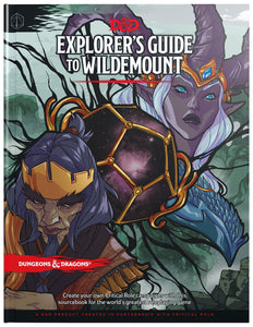 Dungeons & Dragons Explorer's Guide to Wildemount